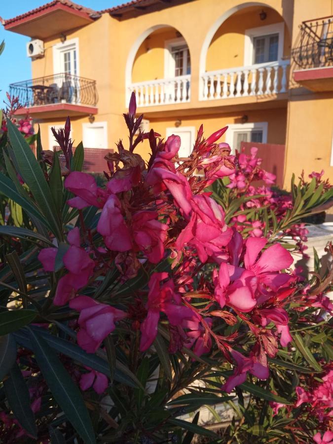 Residence Ionian St&Apts Argostolion Dış mekan fotoğraf